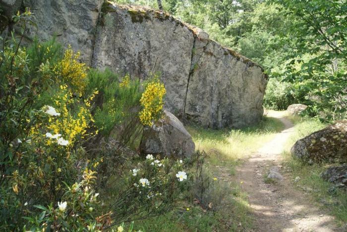 Casa Rural Cabeza Lobera Villanueva de Avila Экстерьер фото